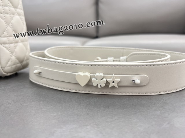 Dior专柜新款迪奥高仿原单Lady20cm四格磨砂徽章手提包 djfk1311